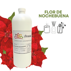 Flor de Nochebuena
